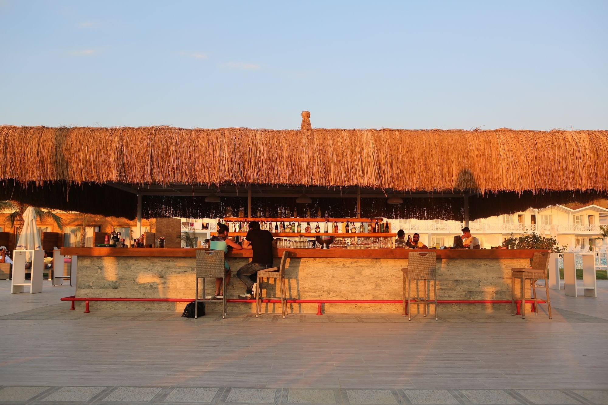 Risus Kusadası
